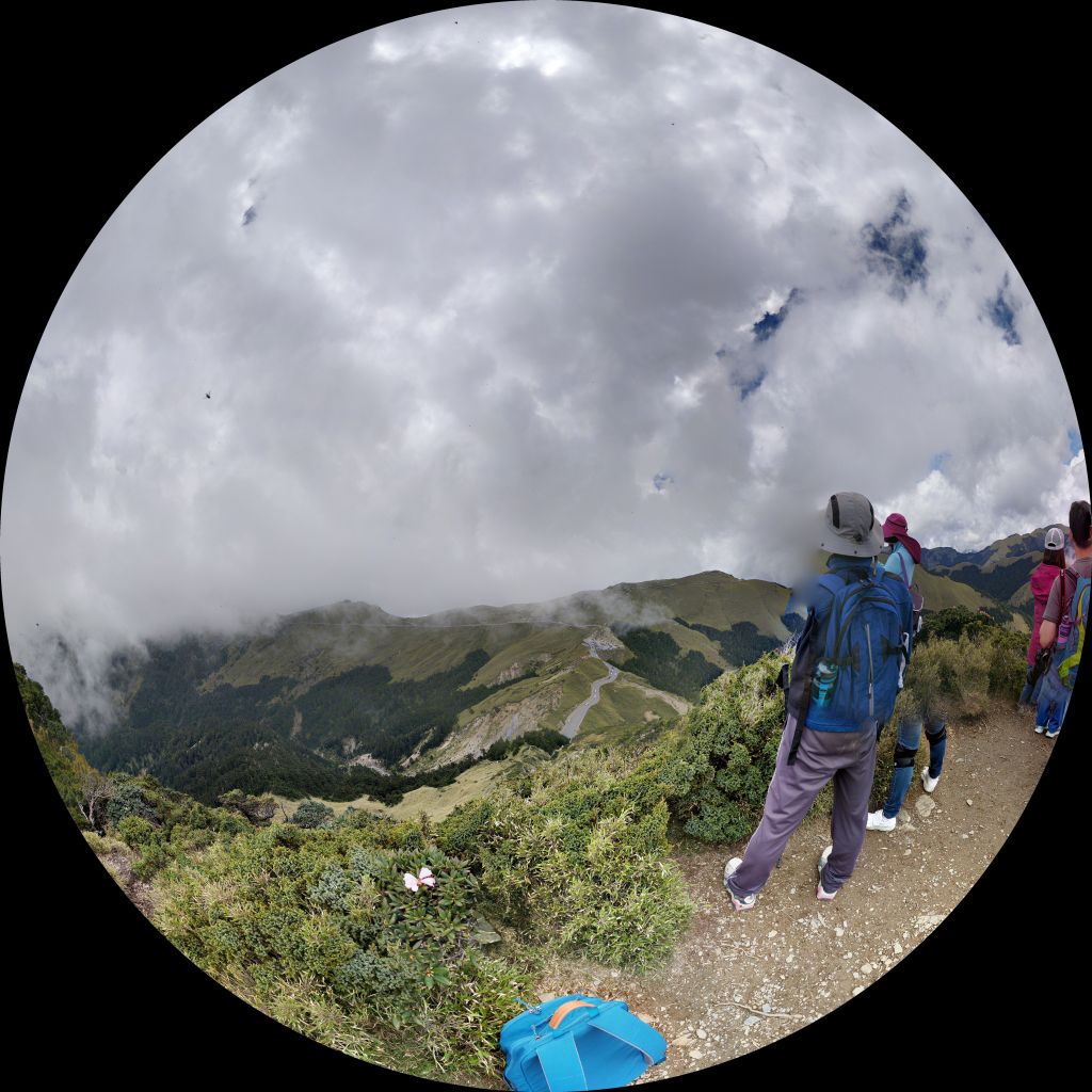 登合歡東峰賞高山杜鵑_137132