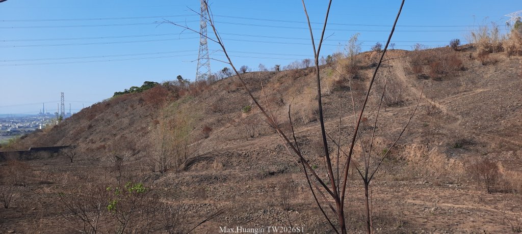 《台中》短暫暖陽｜龍井竹坑南寮步道O繞20260104_2976412