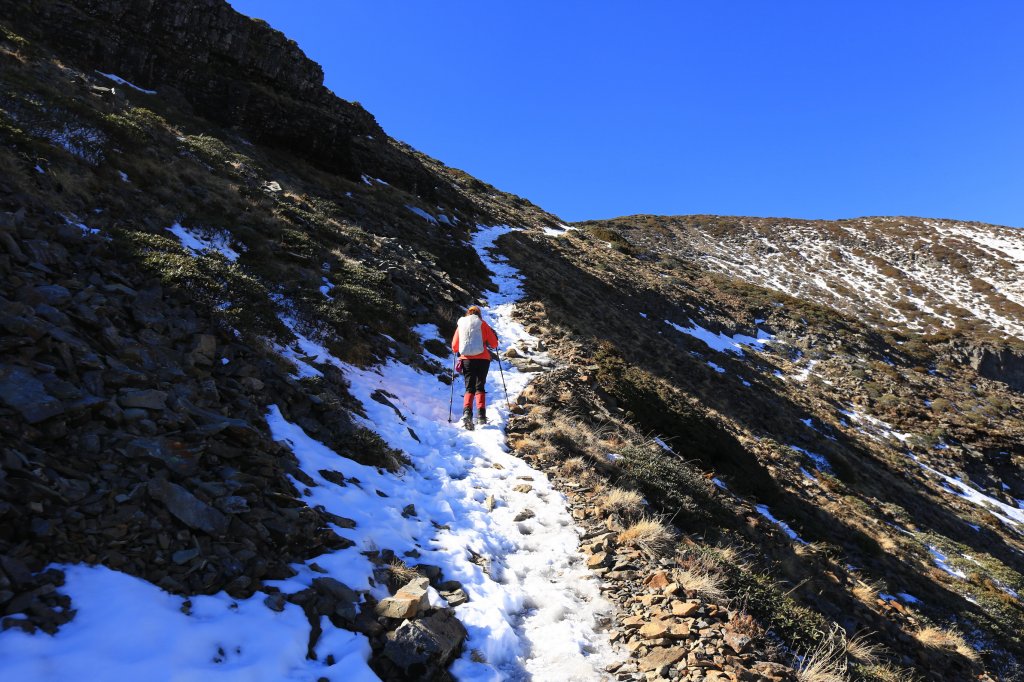 雪山‧甘木林山_1250027