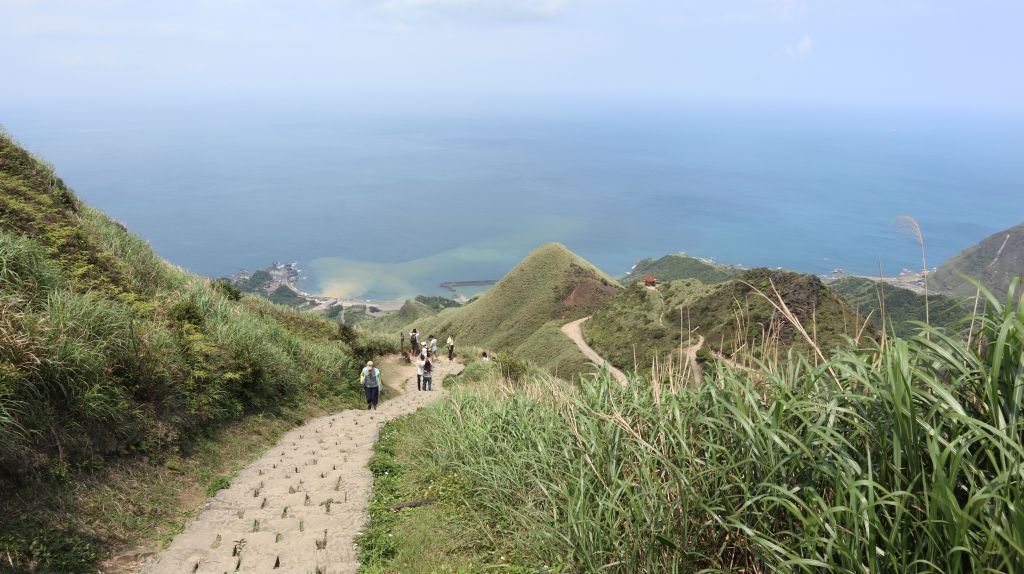 20180405無耳茶壺山_304300