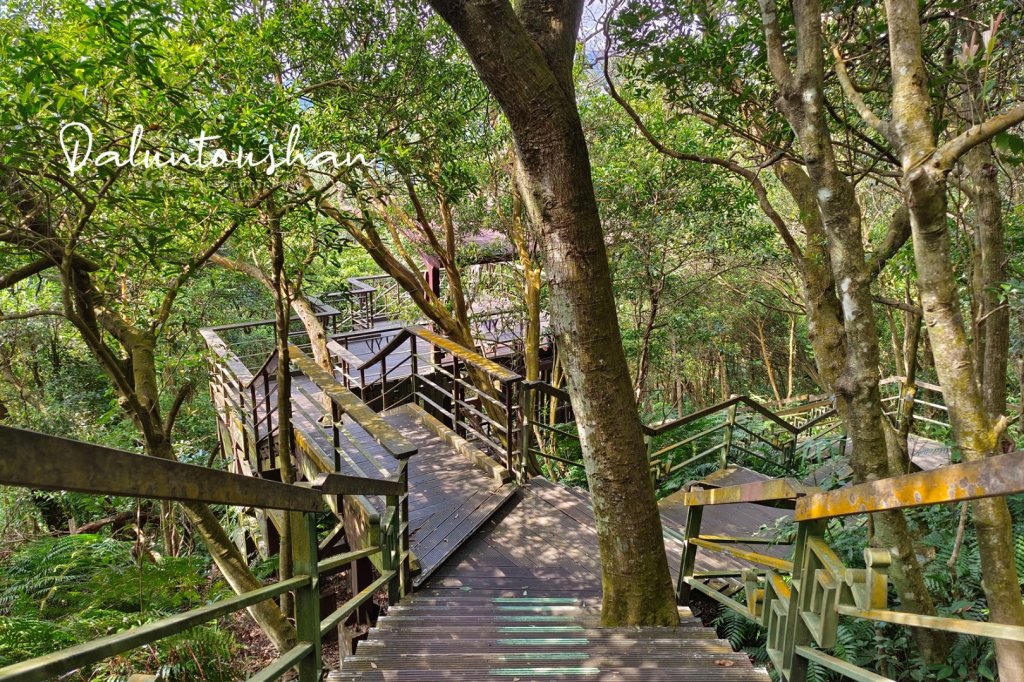 台北｜大崙頭尾山親山步道｜撰風旅食封面圖