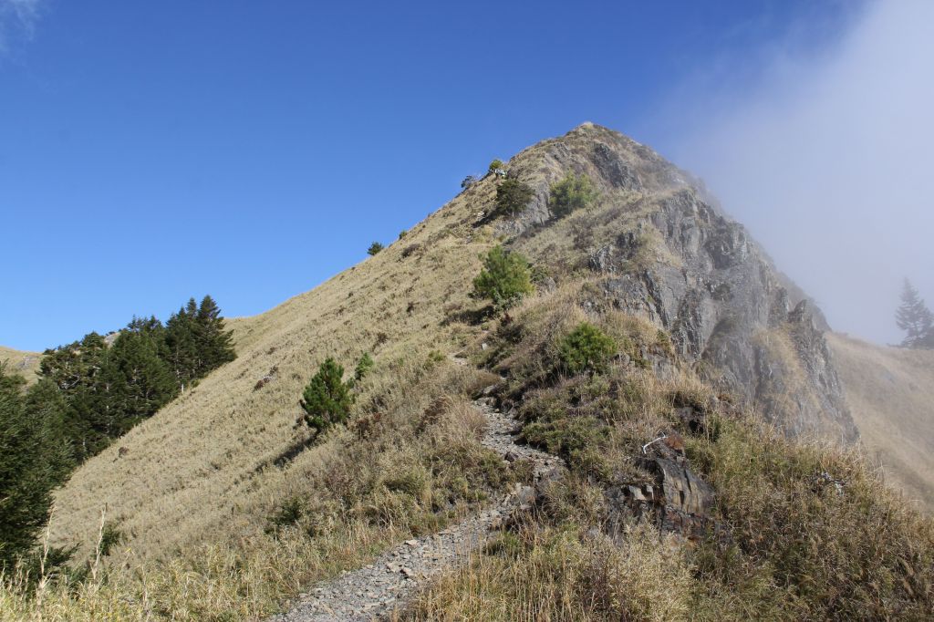 武陵四秀之桃山與池有山(單攻)_167173