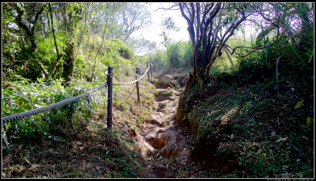 大屯山：向天池、向天山、面天山、大屯山_915366