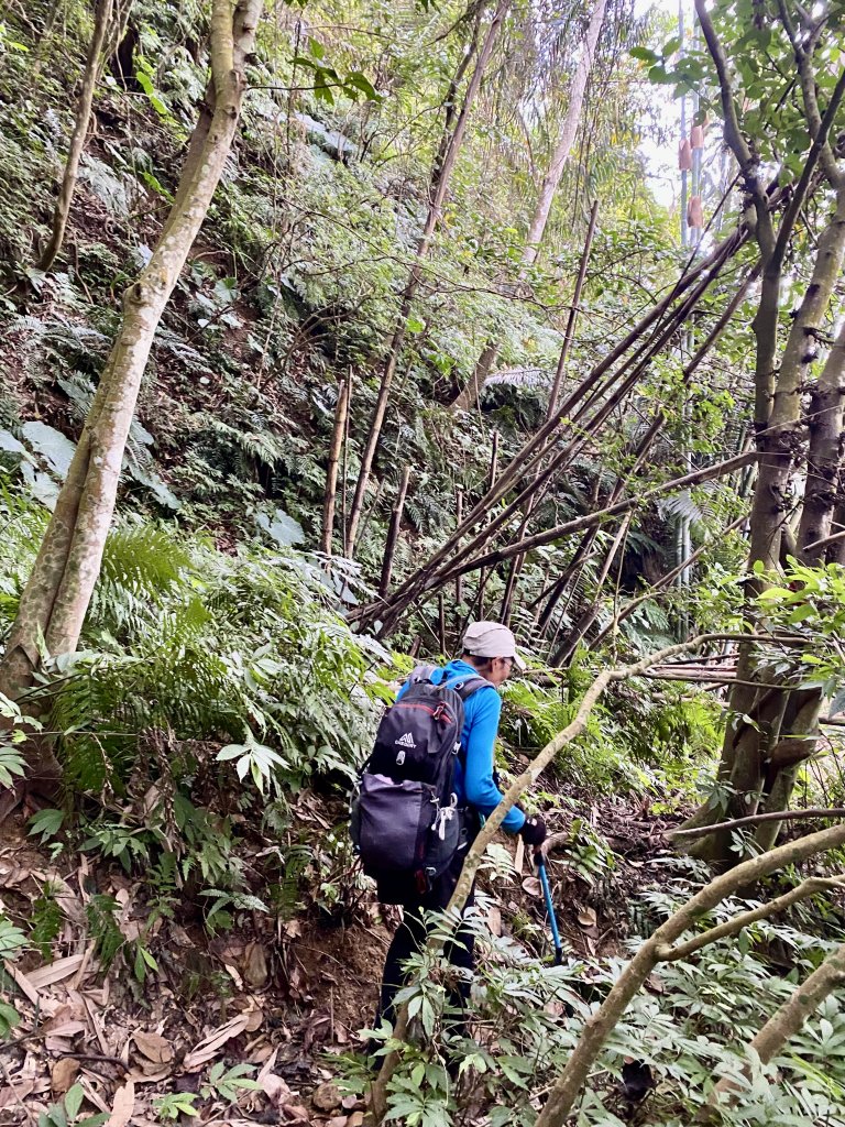 卓蘭基石巡禮（白布帆.象山.流壁下山.舊砲台.水寨下山.水寨山.大坪林.坑尾） 2022/12/21_1962011