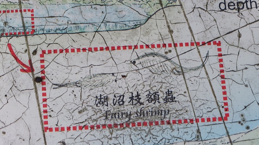 20260125 陽明山前後山健行(無極天元宮~山仔頂步道.向天池.向天山.面天山.二子坪)_2997998