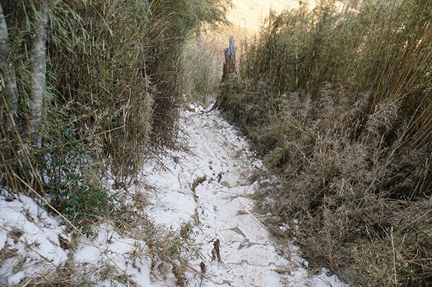 冰雪嚴寒 | 二〇二〇年初訪雪山峰_825359