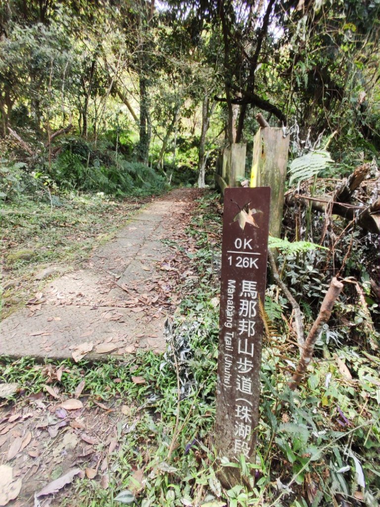 2024/11/9 馬那邦山、細道邦山_2645393