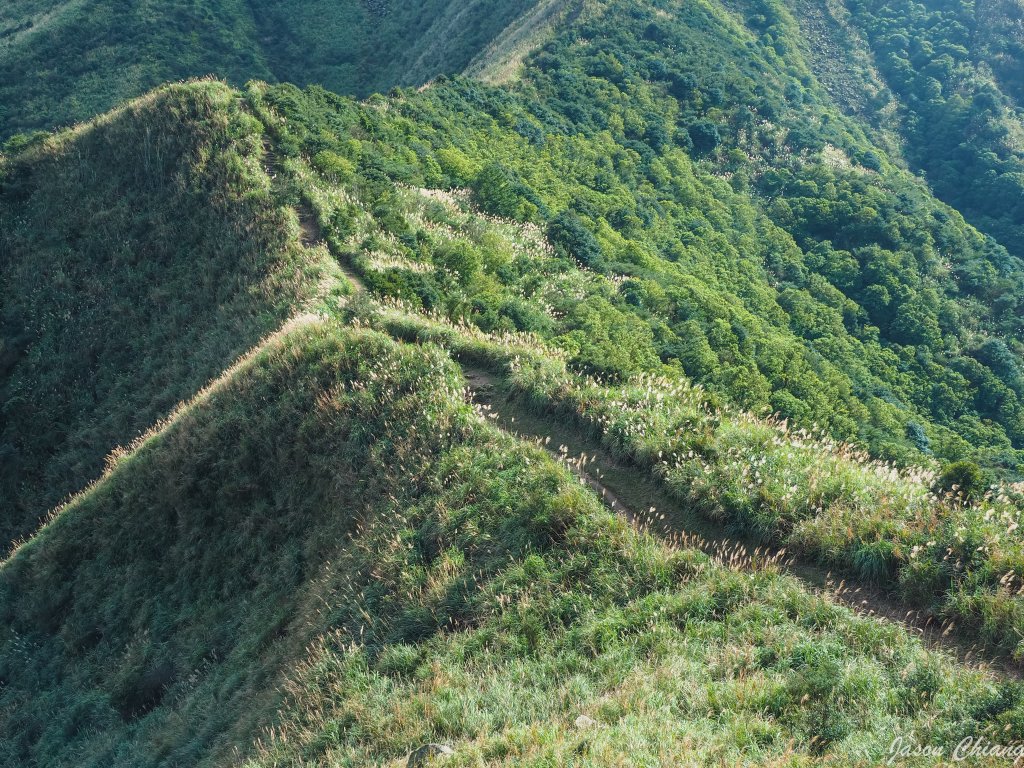 劍龍稜-鋸齒稜-無耳茶壺山連走_795991