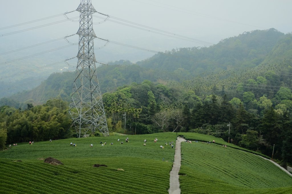 【雲林-嘉義】挑筍古道，車心崙步道_897745