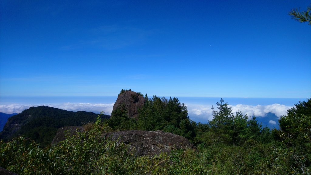 大塔山封面圖