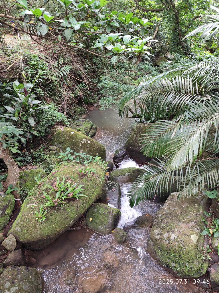 大湖公園→大溝溪生態治水園區→圓覺寺步道→圓覺瀑布→圓覺寺→鯉魚山步道【臺北大縱走 4、臺北健走趣】_2849098
