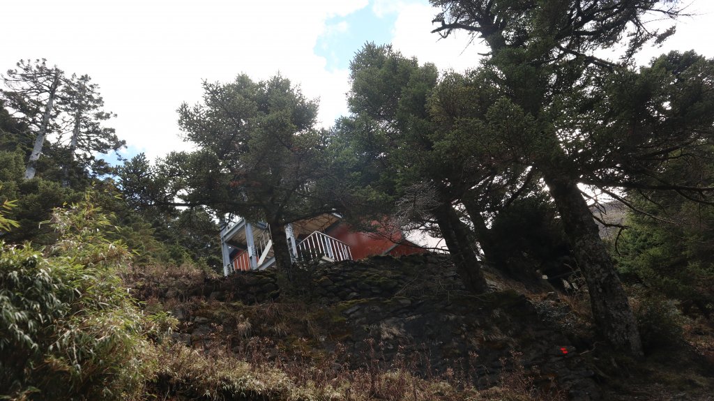 玉山主峰登山健行趣(百岳01號)_2041438