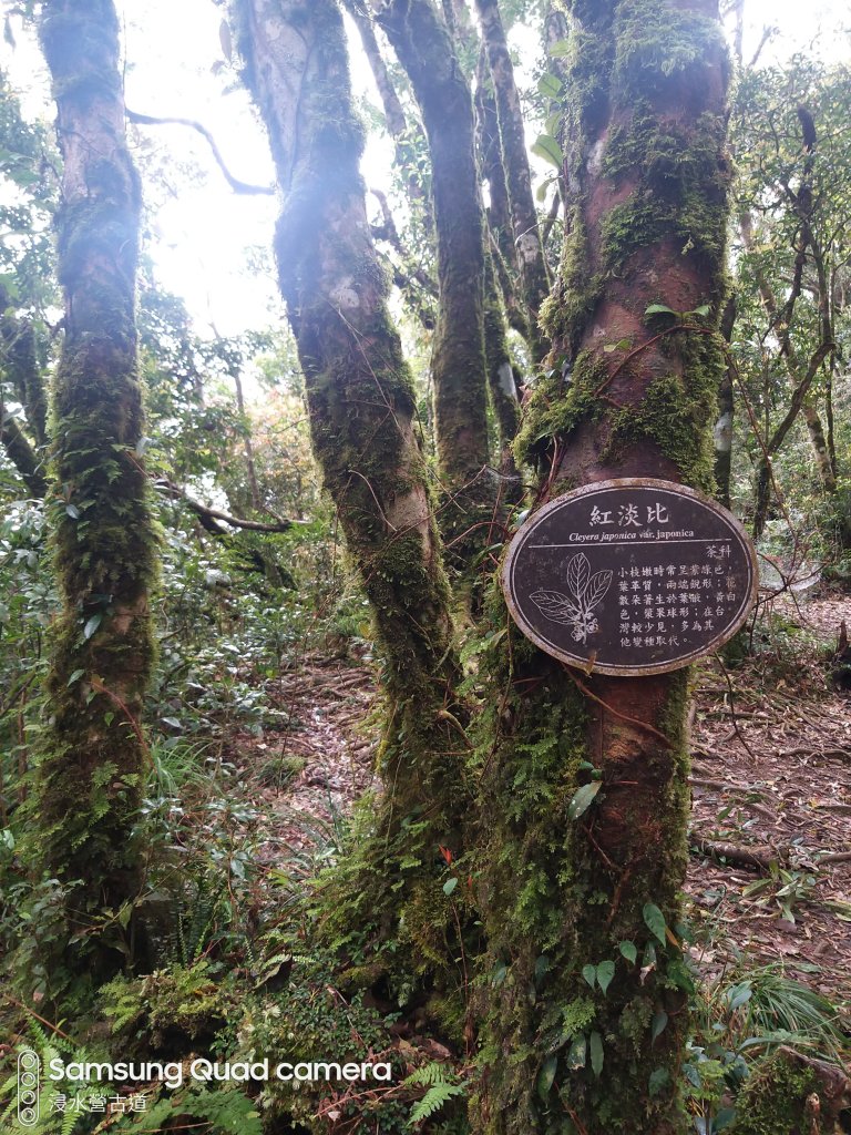 浸水營古道_1216652