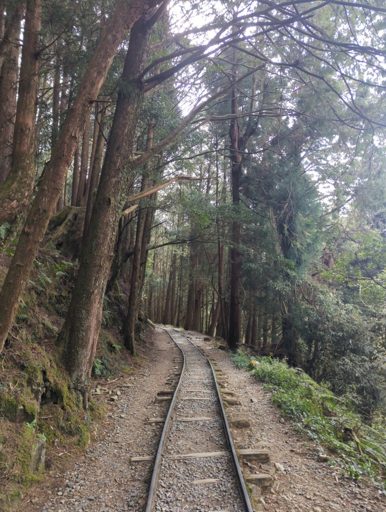 2026.02.14－特富野古道_3013700