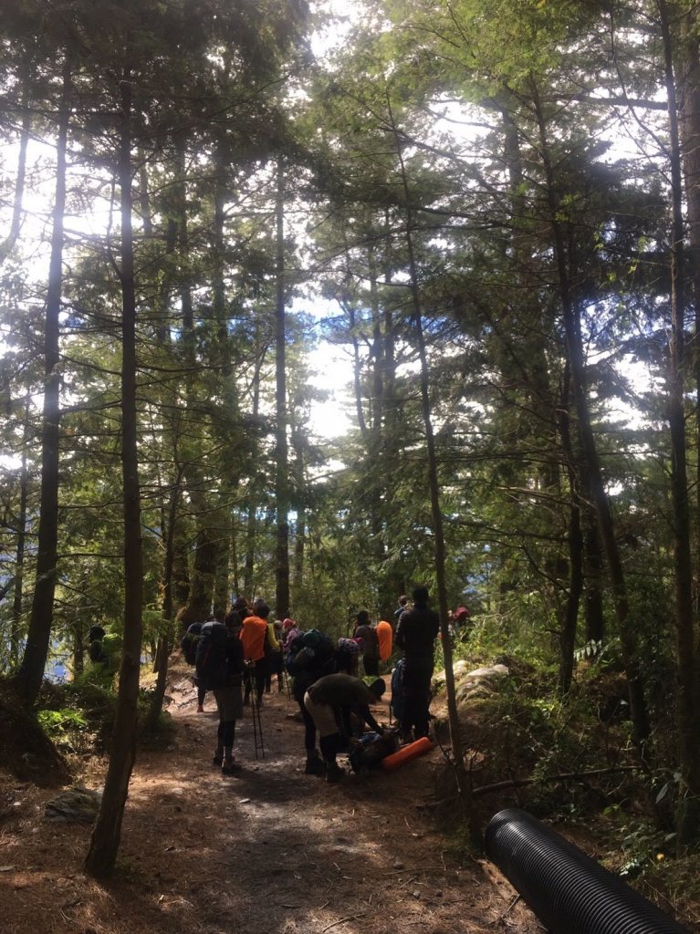 猴子就是愛爬山(奇萊南華)#5.6_567395