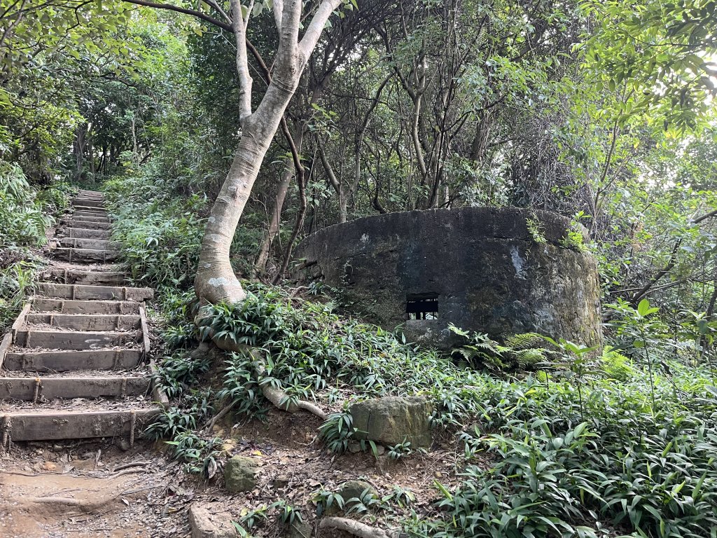 [山頂鳥40周年會員大縱走-14/15] 2024_0804 劍潭山親山步道_2566204