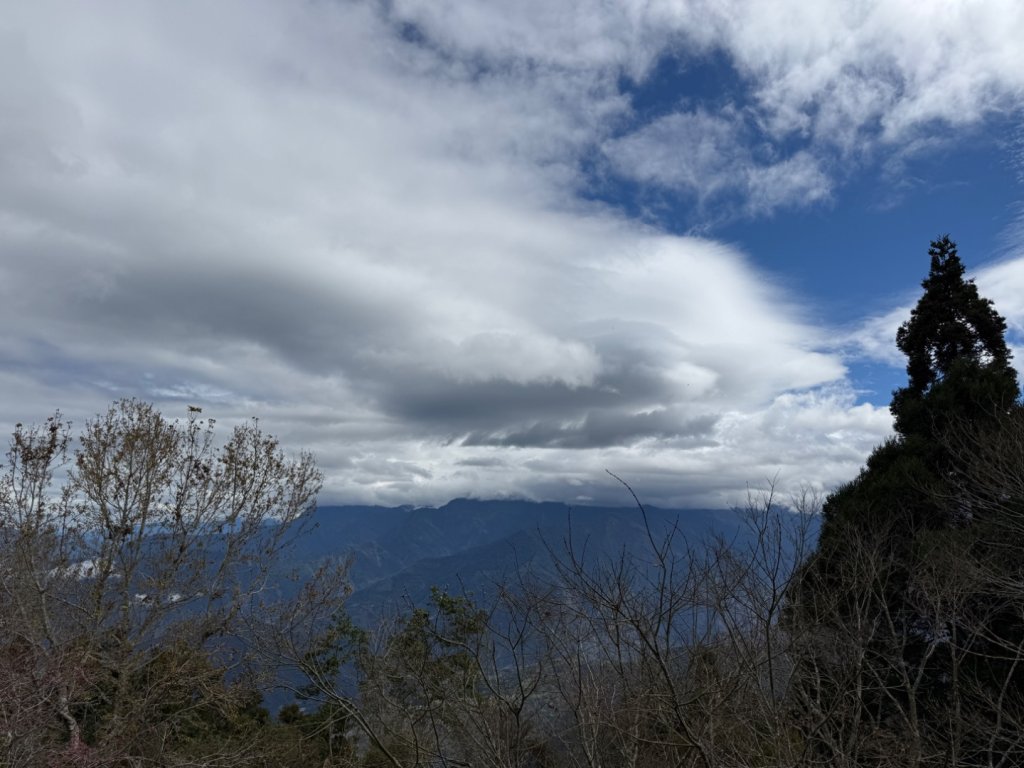 1150301溪頭天文台步道封面圖