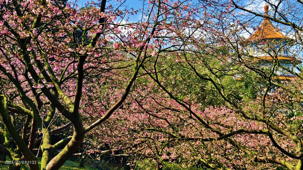 天元宮了嗎？2/3&10_2992659