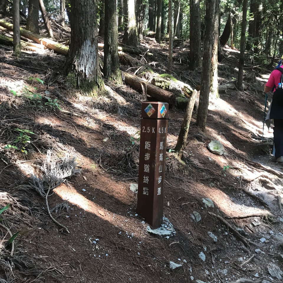 谷關七雄 馬崙山（老二）2023.03.04_2051351