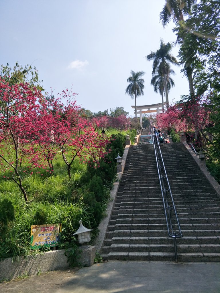 龍過脈封面圖