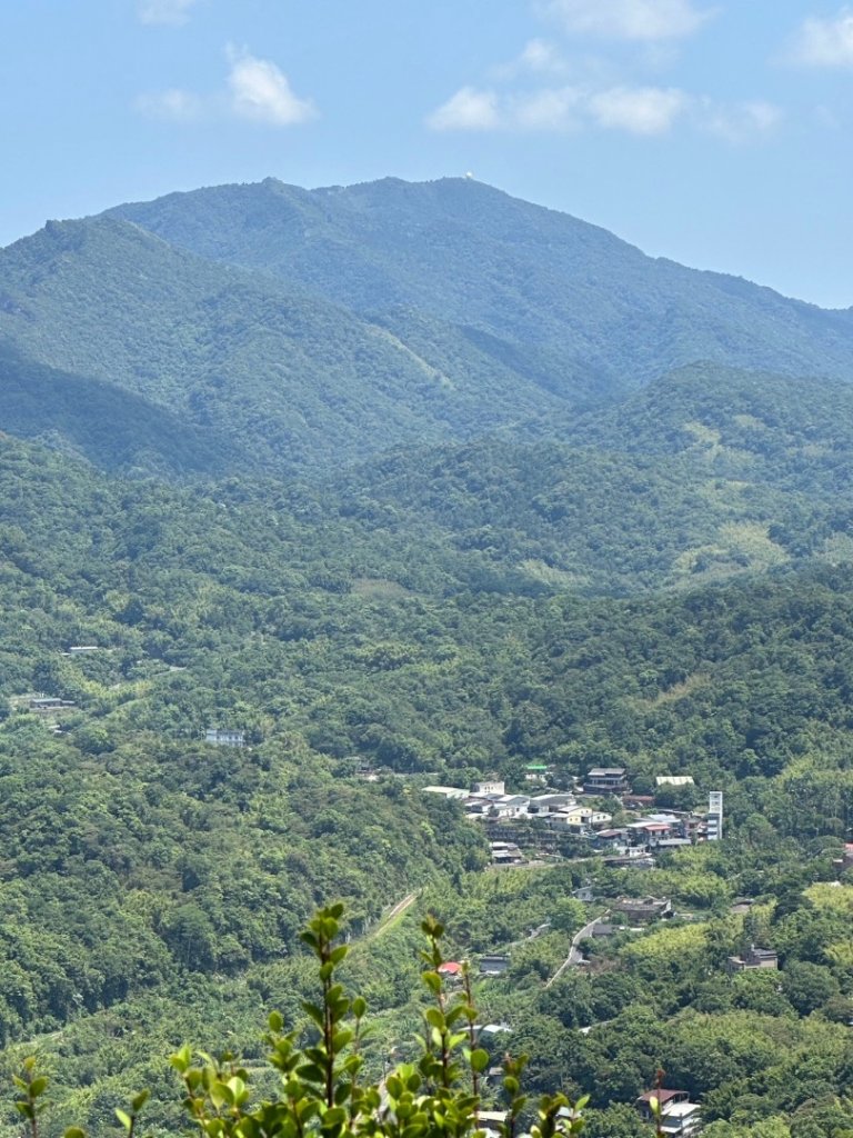 孝子山、普陀山、慈母峰賞鹿子野百合O走_2592936