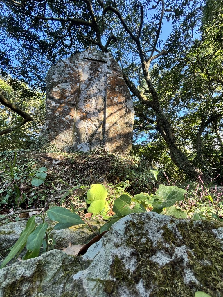 面天山、向天山、向天池_2921031