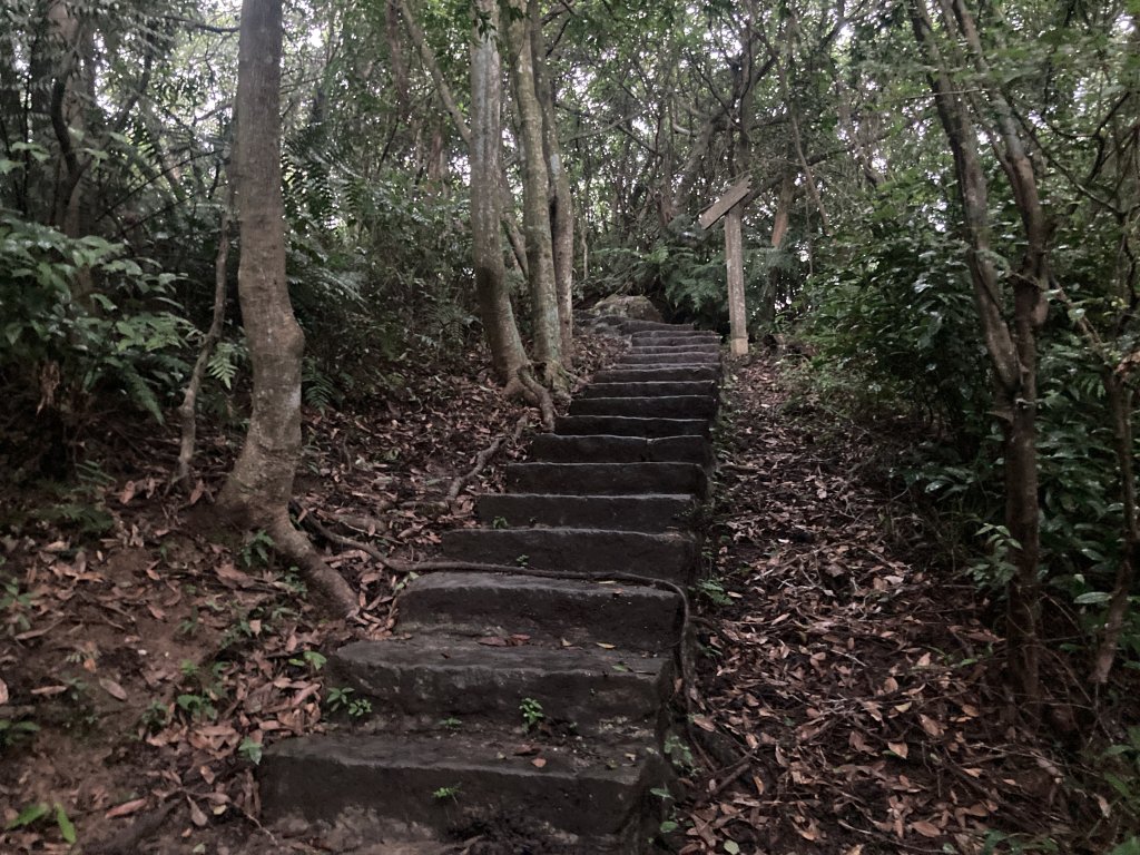 大崙頭山_2532698