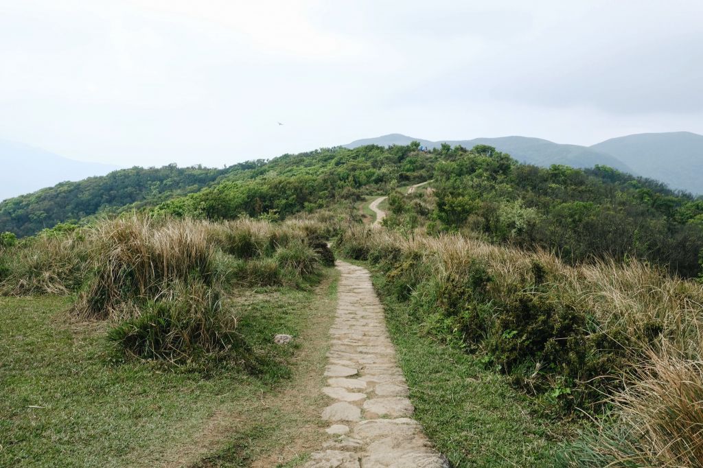 陽明山東段：風櫃嘴—頂山—石梯嶺—擎天崗_309463