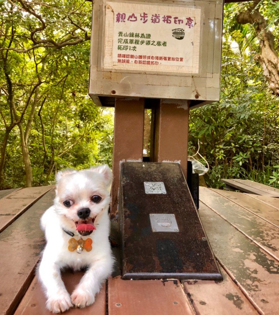 2018-11-21圓山十美劍潭山親山步道_468514