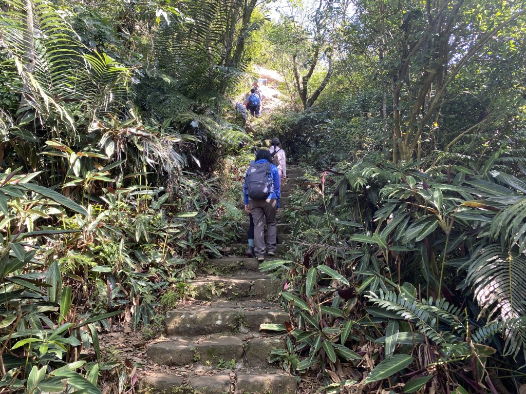 2021.02.20 臺北大縱走第六段_1488070