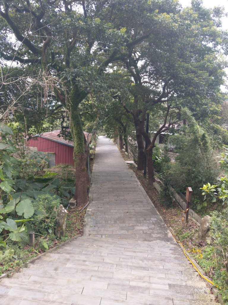 臺北大縱走第七段：飛龍步道→指南宮步道_1315273