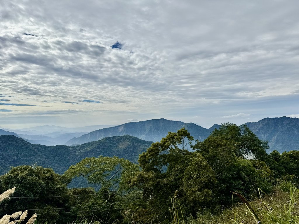 雪山坑步道悠遊順訪雪山坑山(再訪)  2025.12.3_2953808