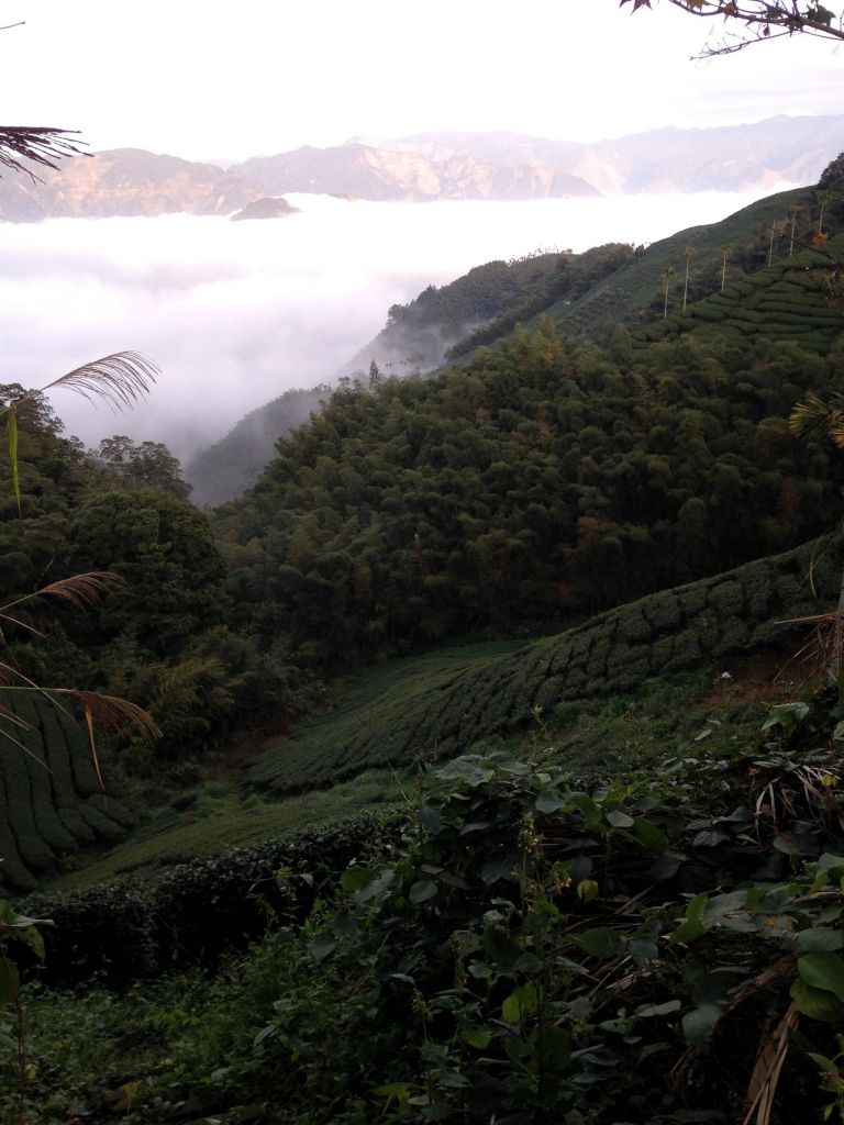 2017-12-9雲嘉五連峰_221728
