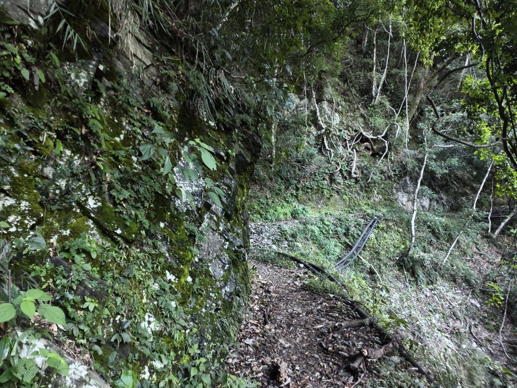 [玉山尋寶任務-07/12] 2025_0824 八通關雲龍瀑布步道_2870520
