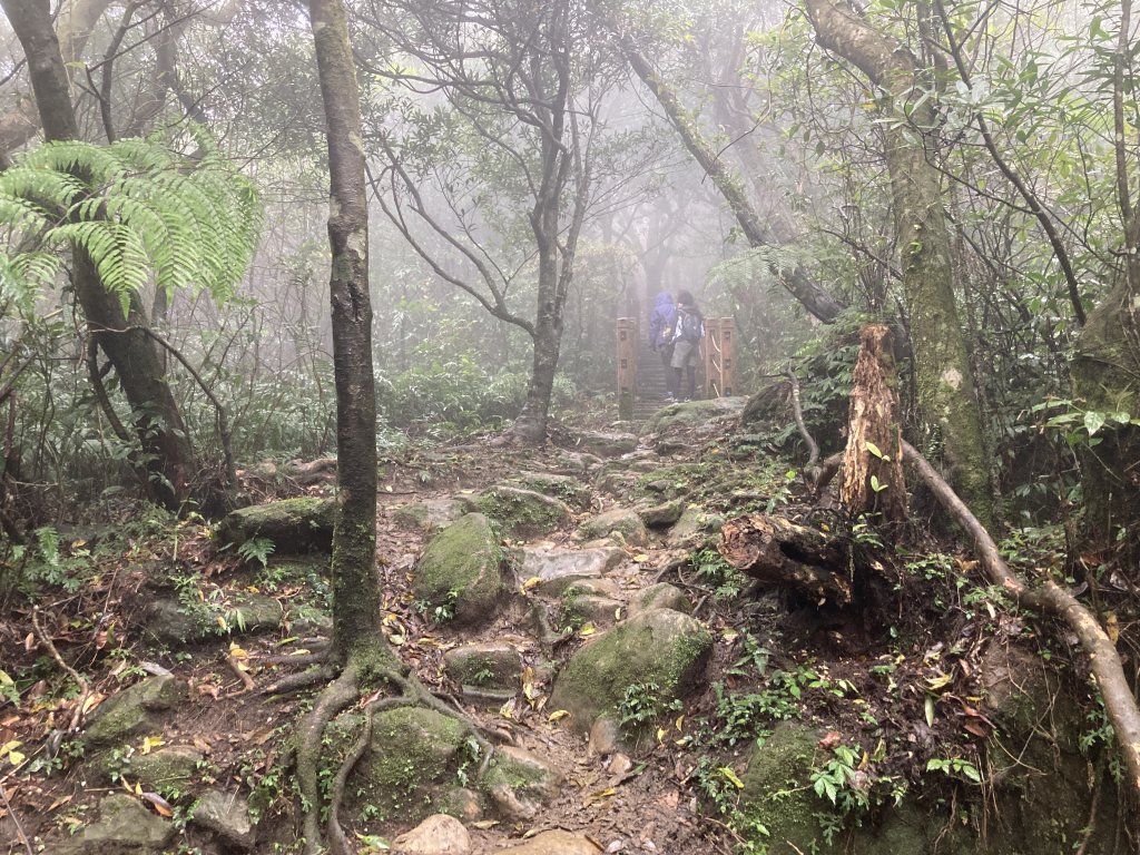 獅仔頭山登山步道_2437048