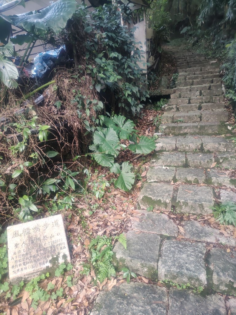 聖人瀑布_2678844