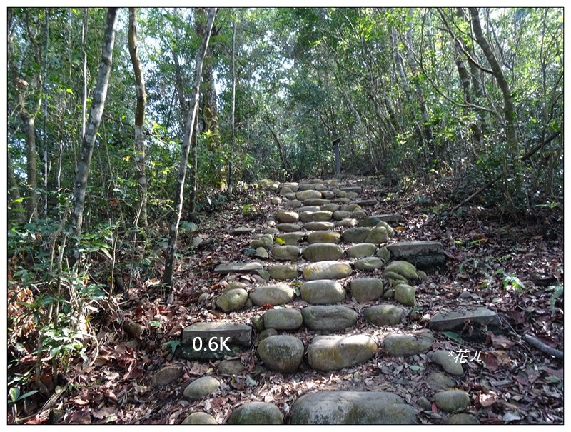 台中/大坑最美5-1步道_882446