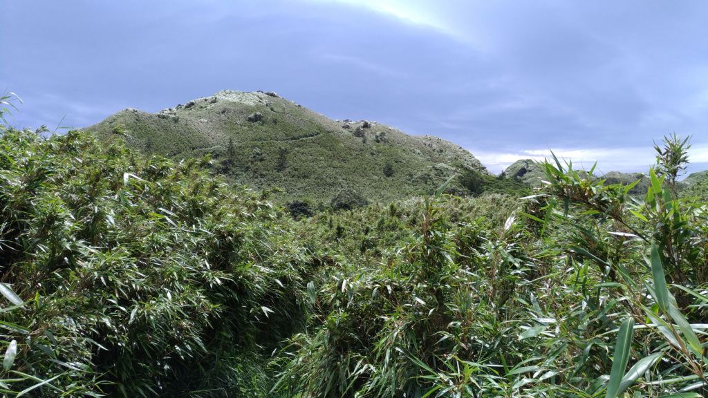 天晴風強!七星山主峰空蕩蕩!_137946