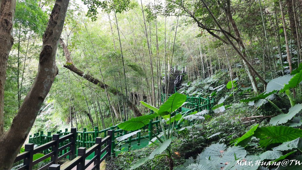 《南投》鳥園瀑布｜鳳凰谷鳥園園區步道&石馬公園20231014_2315629