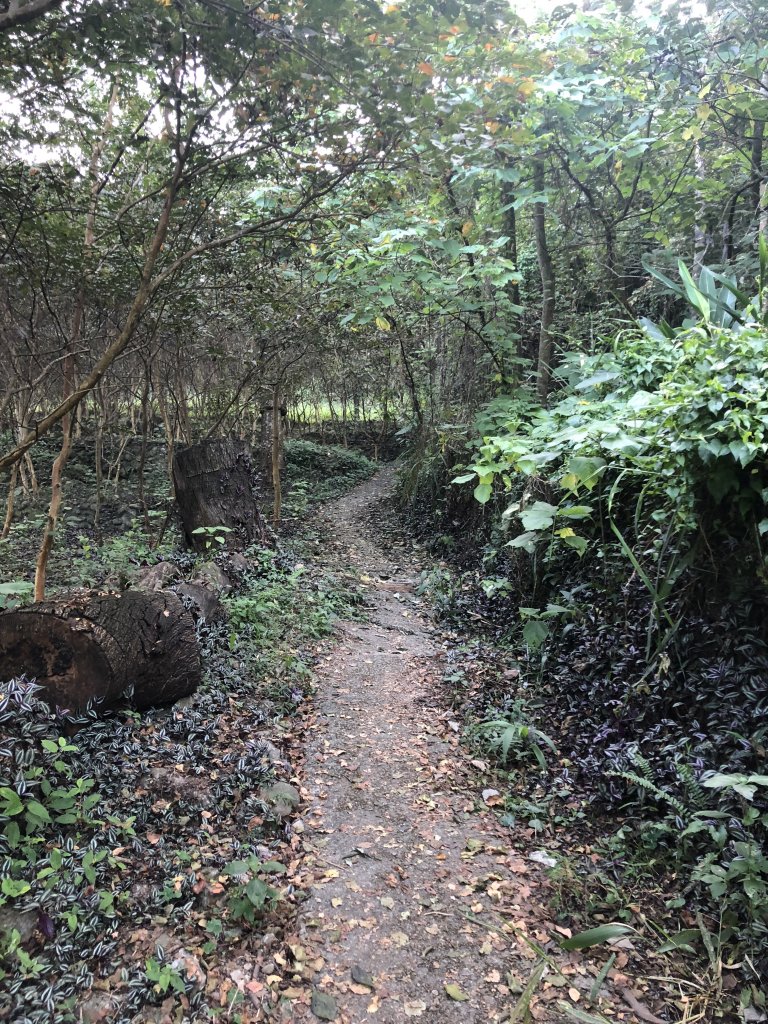 白毛山O型路線封面圖