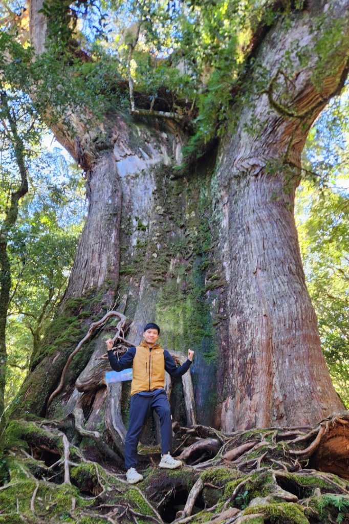 【中級山縱走】羅馬縱走，走進神木的夢幻童話森林世界_2943220