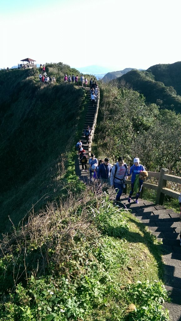 新北瑞芳-鼻頭角步道PART2_475712