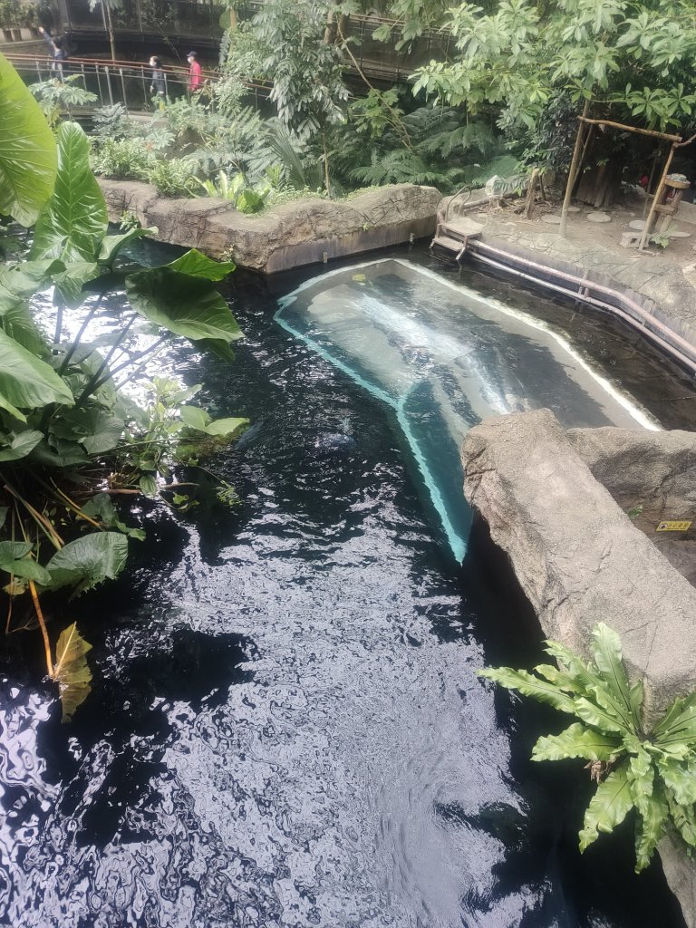 台北動物園_2664051