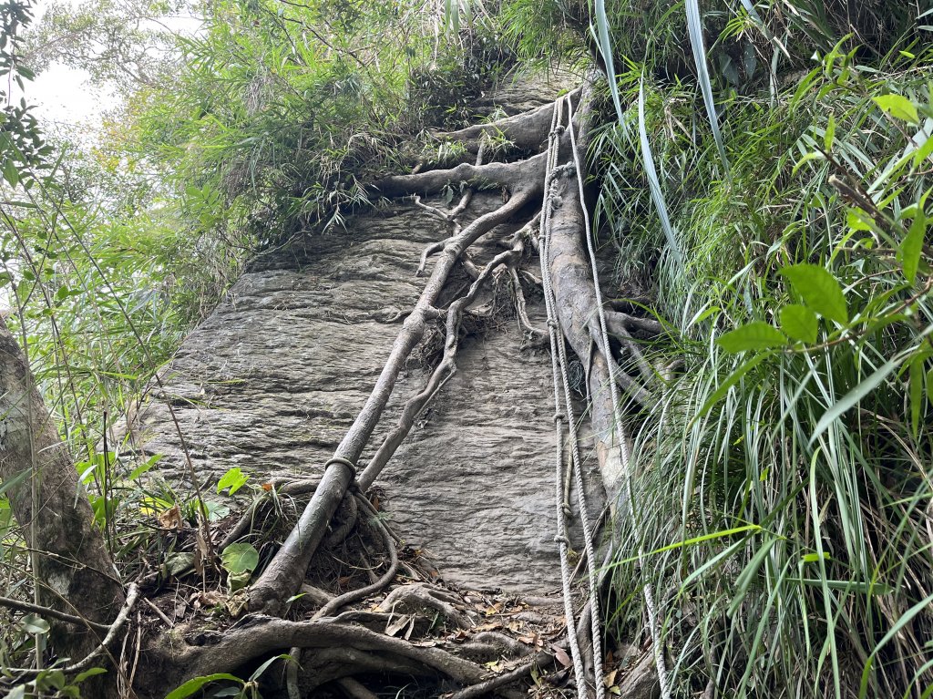 2023_1118 三腳南山_2353257