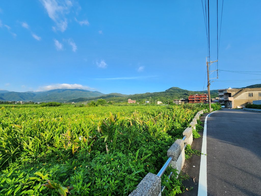 20230827 Ubike 金山 ~ 三芝_2441094