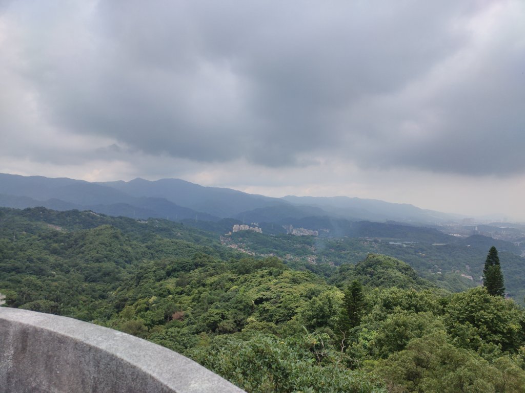 紅淡山_2531119