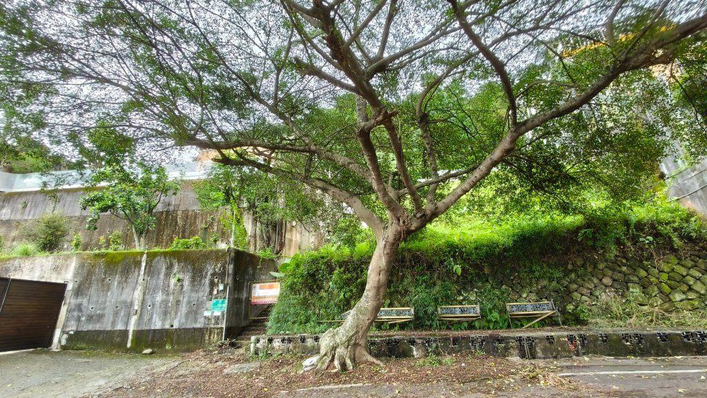 燕溪古道-大崙尾山西峰-仙座台山-圓明寺步道_2926566