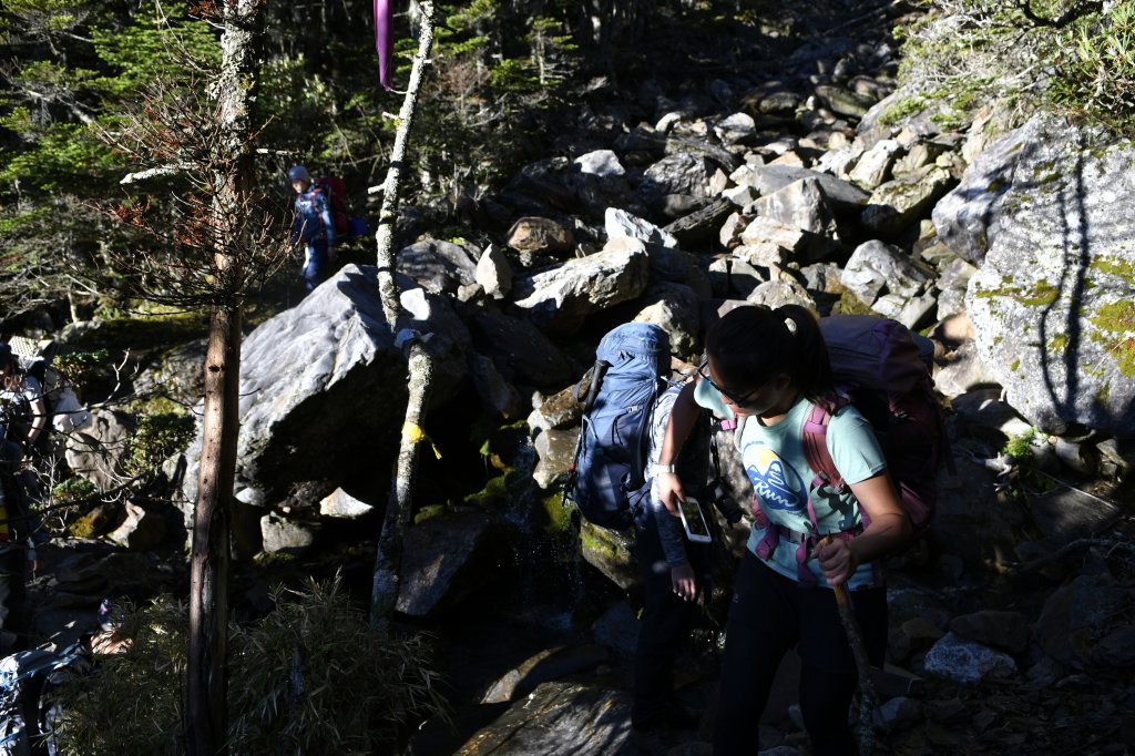 八通關上玉山_1025154