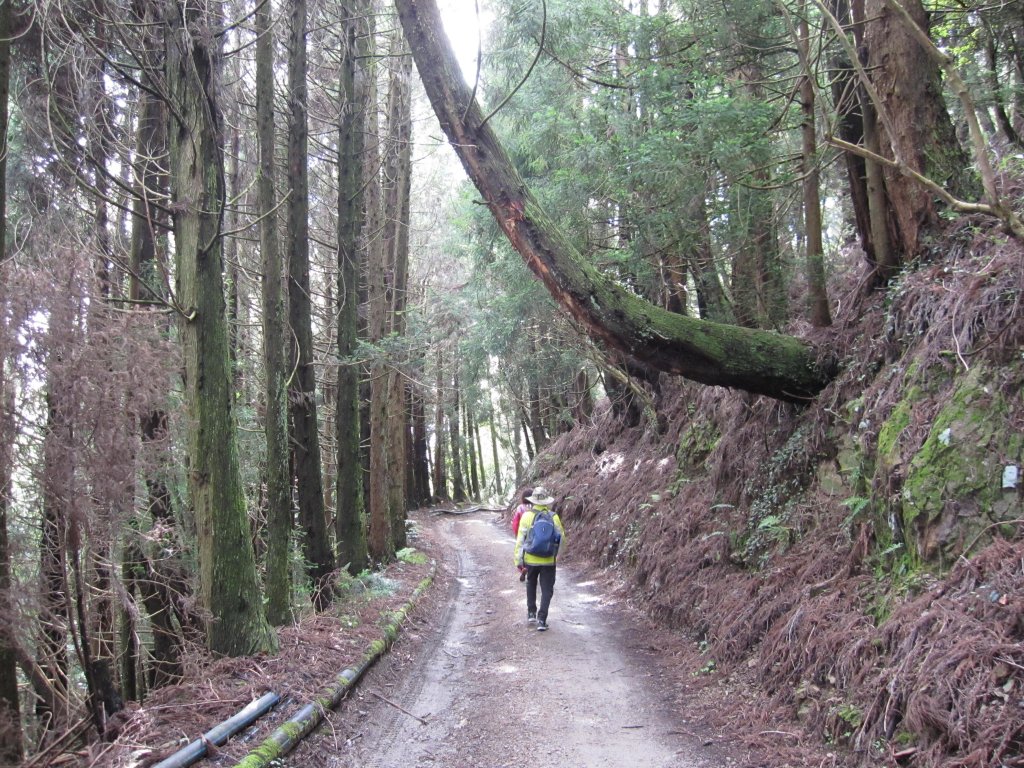 處處都是美景的合歡溪步道_1026190