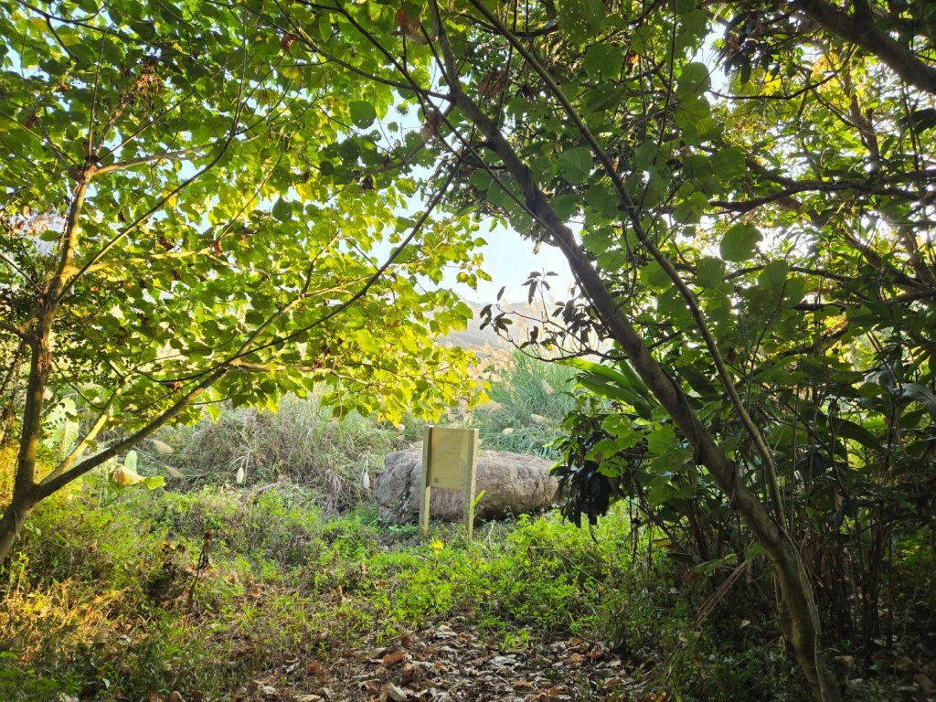 2025-12-30  南化牛港嶺點將石_2972713